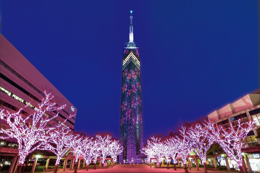 福岡市動植物園2026完全ガイド!新エリアと混雑回避の裏ワザ